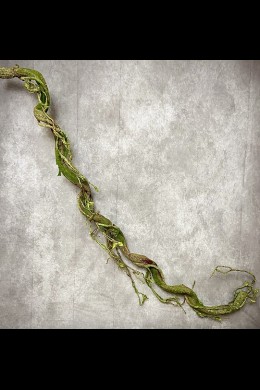 CURLY GREEN GARLAND [901400]